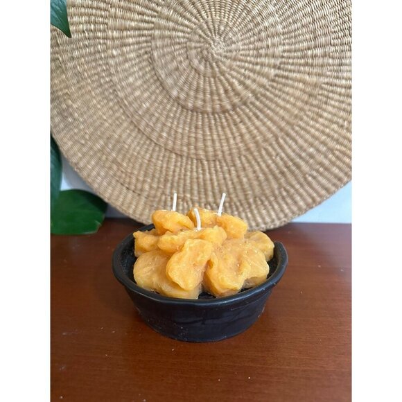 Ashland chicken nugget Candle - Picture 1 of 10